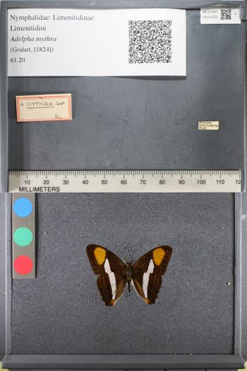 Media type: image;   Entomology 141022